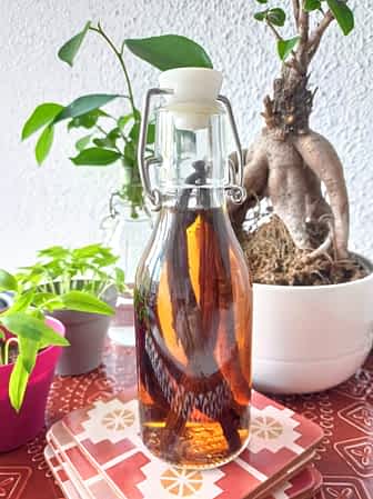 una botellita de extracto de vainilla casero tras tres días de espera