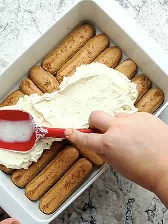 esparciando la primera capa de relleno encima de los ladyfingers