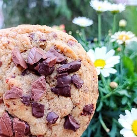 una galleta de chocolate americana en frente de unas florecitas