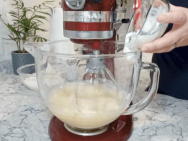 añadiendo los ingredientes restantes