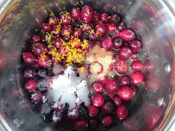 los ingredientes de salsa de arándanos rojos en la olla