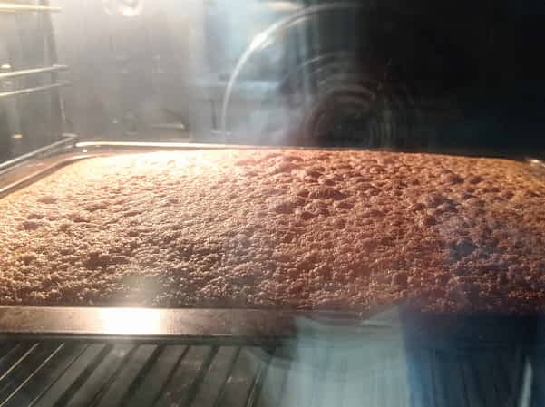 el bizcocho en el horno
