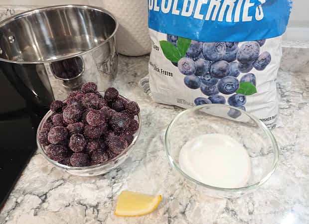 ingredientes para salsa de arándanos